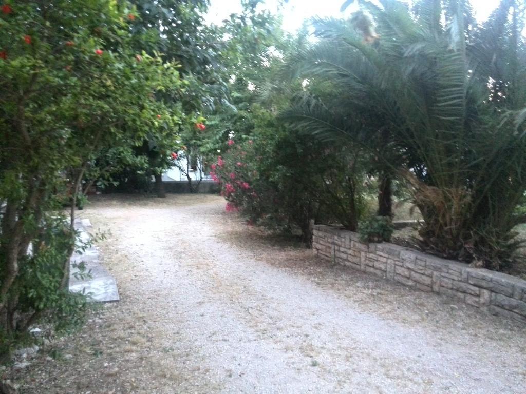Apartment Tome Biograd Na Moru Kamer foto