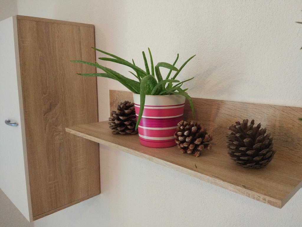 Apartment Tome Biograd Na Moru Buitenkant foto
